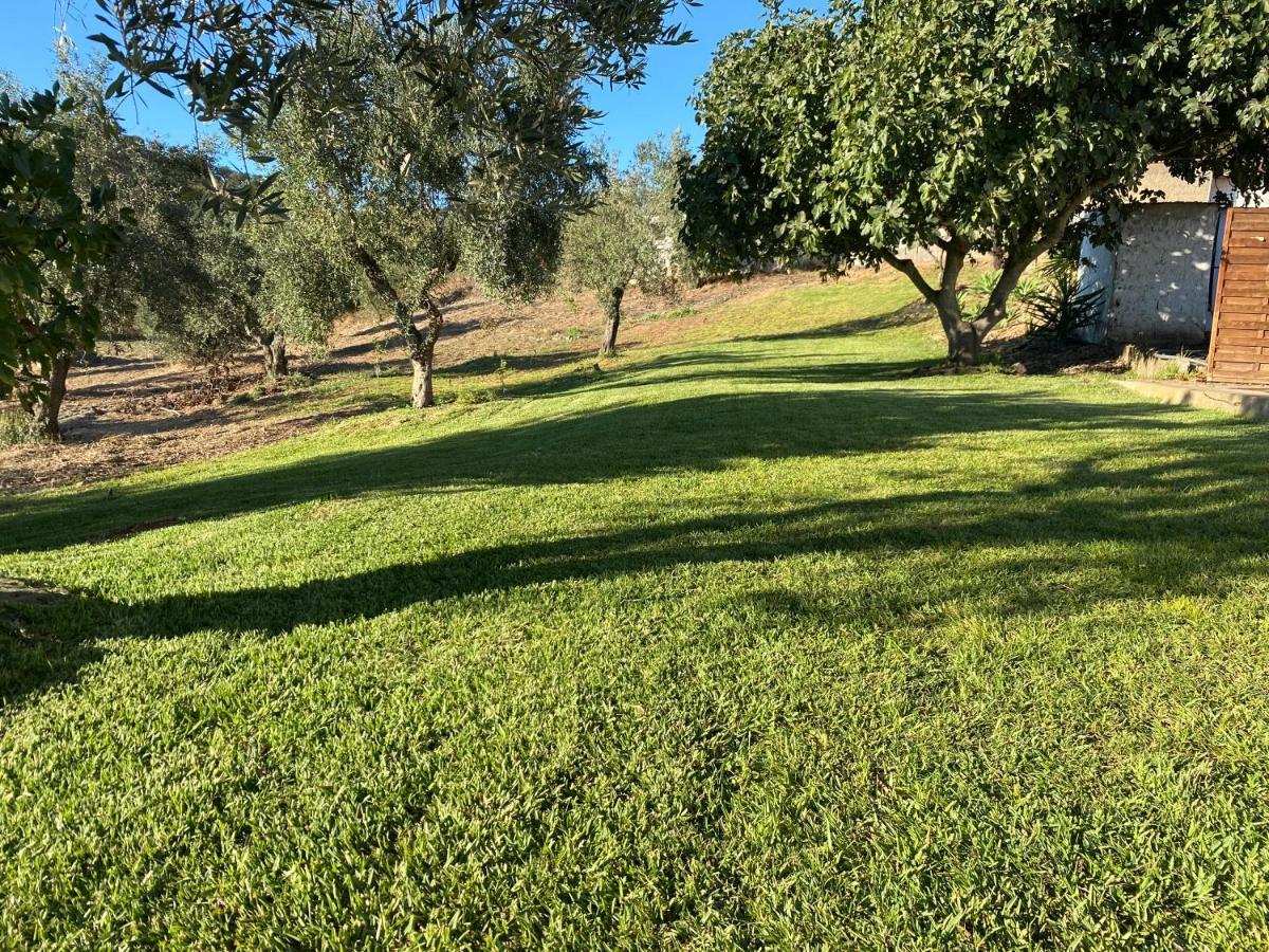 Monte Da Alameda - Piscina Aquecida Villa Santa Luzia  Eksteriør billede